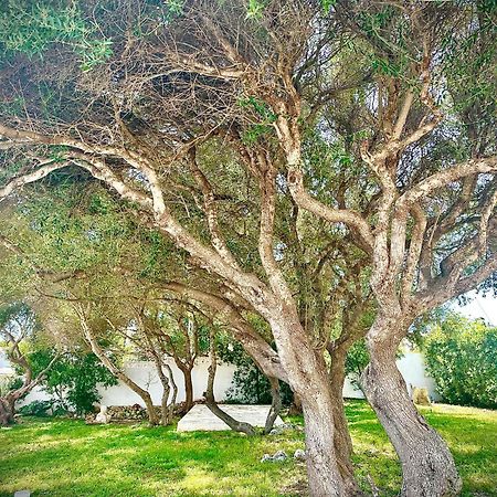 Starbal Apt Es Castell  Exterior photo